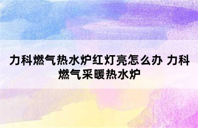 力科燃气热水炉红灯亮怎么办 力科燃气采暖热水炉